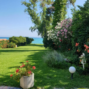 H & H Halkidiki Homes